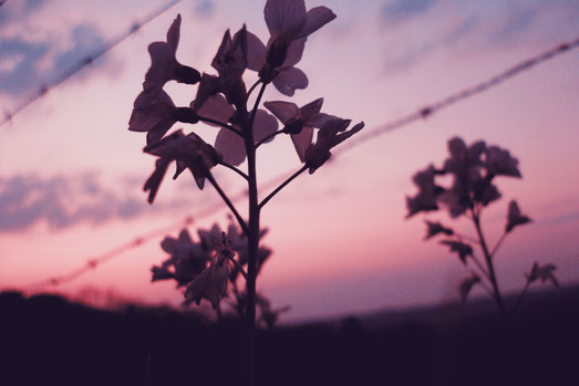 Krebs, Krebsdiagnose, Lebensentscheidung