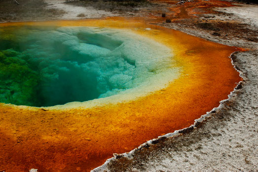 The Morning Glory Pool in the Upper Geyser Basin