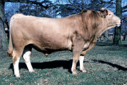 AUTRANS FR 3885011088 -CIA de Bel Aire (UCEAR)