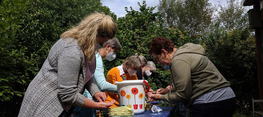 Ansaat von Wildpflanzen, die Insekten für Fledermäuse anlocken (Foto: Robert Egeling)