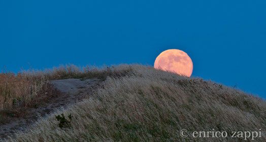 23 giugno 2013- La Luna Rossa si leva da dietro una collinetta della Valle del Vento, in tutto il suo fascino lasciandomi attonito per la meraviglia ed emozione del momento.