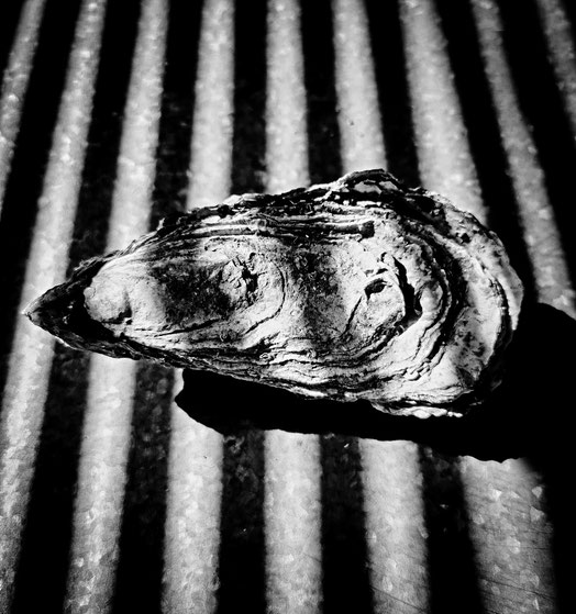 Photo de Catherine VALENTINI issue de la série histoire d'huîtres TEST'Image 1 La Teste Port JEP 2023