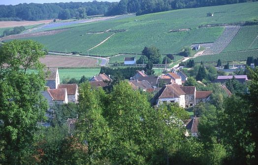 Baulne en Brie, sur la route touristique du Champagne