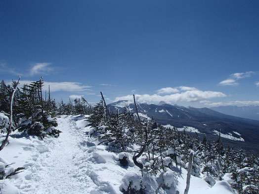 縞枯山　登山　スノーシュー　ガイド