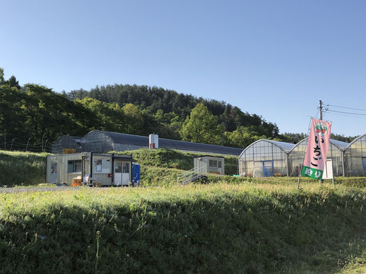 隣のいちご農園「八ヶ岳フルーツ農園」