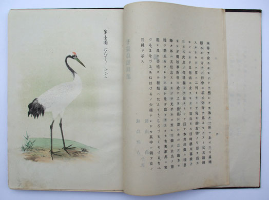 日本で最初の野鳥図鑑』 - 日本野鳥の会東京