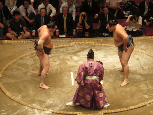 Sumo muko-jomen seat
