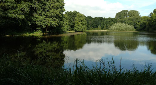 Buddha, Achtsamkeit, Bewusstsein