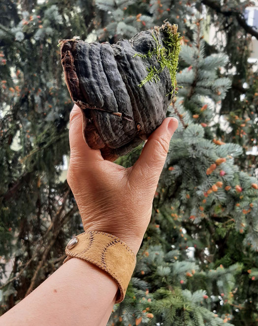 Alter Zunderschwamm und Pilz-Armband aus der Zunderleder-Doku