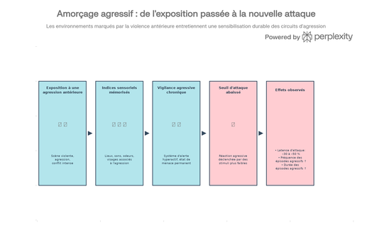 Schéma de l’amorçage agressif par exposition à une agression antérieur