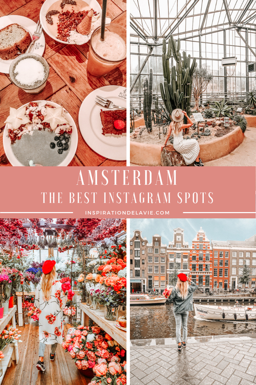 Plan your Amsterdam city trip and read my sightseeing trips, restaurant tips and my best Instagram spots and the most instagrammable places. Here you will find all my insider tips for Amsterdam. The Hortus Botanicus and the best cafes and restaurants in A