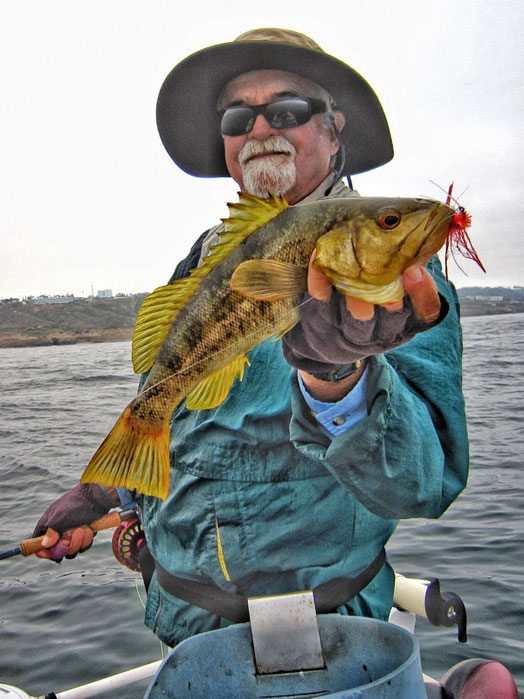 Fly Fishing for Calico Bass San Diego Fly Fishing Equipment, Fly