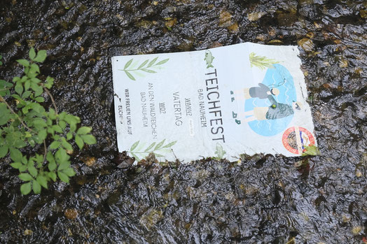 Fotografiewelten, Urban, Plakat, Wasser, Teich, Fest, Bad Nauheim, Natur, Kurpark,