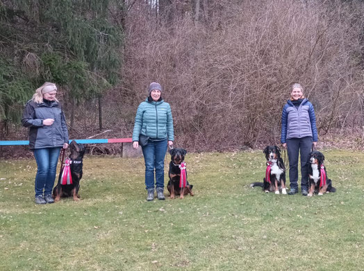 Drei Personen stehen auf einer Wiese mit jeweils einem oder zwei Hunden, die rote Schleifen tragen