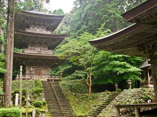 The pagoda and main hall of Myotsu-ji Temple, a National Treasure.