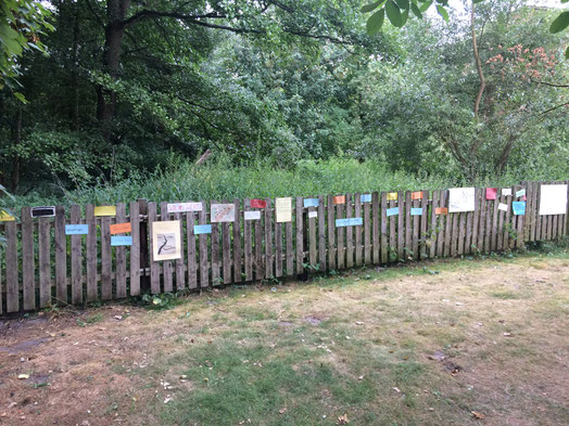 Wortzaun. Kreatives Schreiben auf der Somerakademie 2018