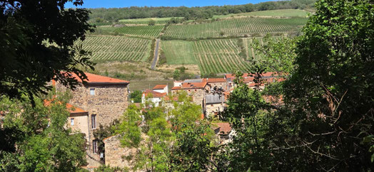 le village de Boudes entouré de vignes dans le Puy-de-Dôme