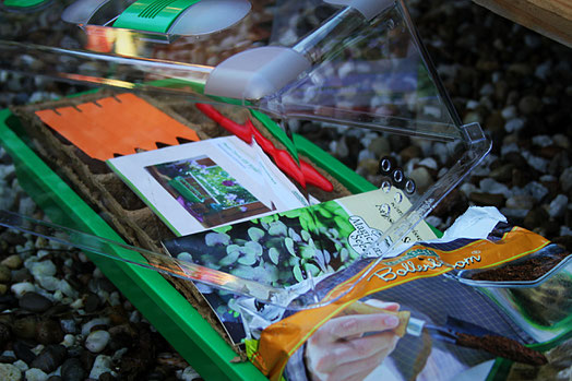 Magic Garden Seeds - Zimmer-Gewächshaus
