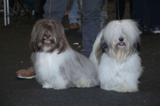 Charlie & Alister
