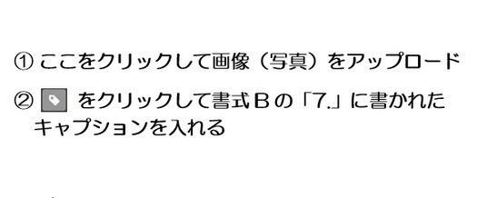 「7.資料用説明文」を入力する