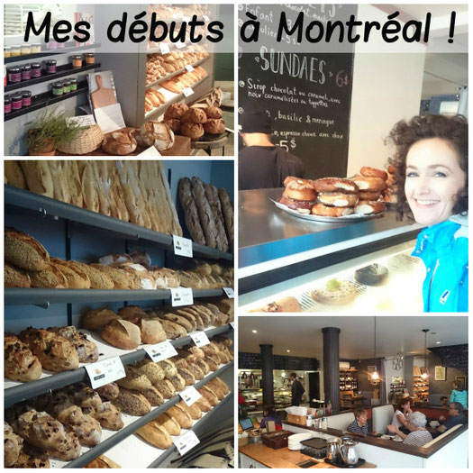 vivre à montreal conseils et bons plans