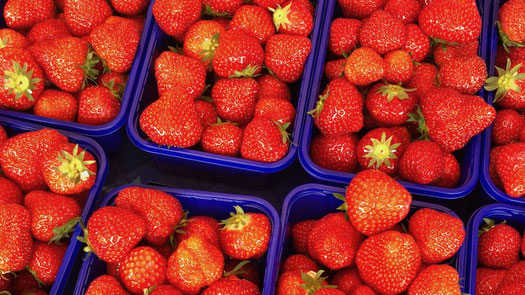 Erdbeeren in blauen Schalen auf dem Wochenmarkt
