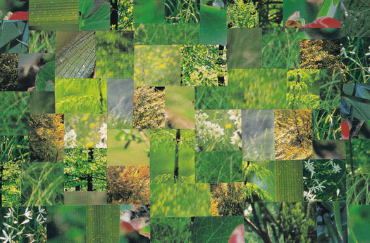 Papiercollage von Klaus Becker, Kassel