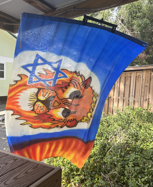 large face of a lion on a blue & white field with Star of David and fire on the ends