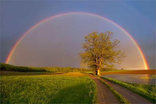 Regenbogen, Natur, fantasitsche Naturereignisse, Lebendigkeit
