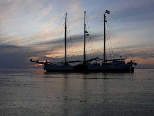 "Grote Beer" zwischen Harlingen und Vlieland trocken gefallen