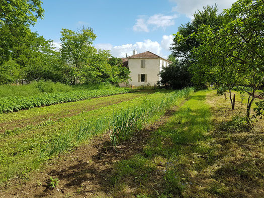 Lassenat éco- maison d'hôtes en Gascogne, chambres d'hôtes de charme et gîte écoresponsable, location de vacances avec piscine écologique, table d'hôtes bio, potager biologique. 4 clés Clévacances. Près de Vic-Fezensac, Eauze, Condom, Gers. Occitanie.