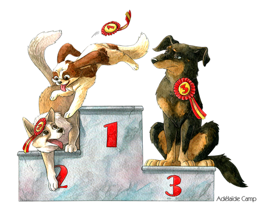 Illustration toutes races pour Dog'N'Co Education canine, Conseil comportemental, Médiation animale à Langres et alentours