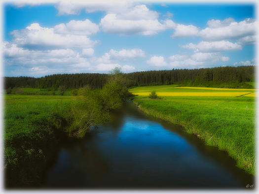Die Brigach