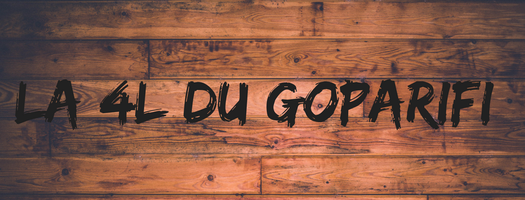 Site de goparifi-4l-pickup !