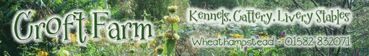 Croft Farm Kennels, Wheathampstead, Hertfordshire, daily walks, registered kennels, fully insured, dogs fed twice daily, near St Albans