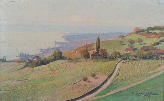 EXPO DE TABLEAUX, TABLEAUX VAUDOIS#huile sur toile#Anker, Baudit, Birbaum, Blanc,Blondin, Delessert, Chavaz, Chinet, Clément,Louedin, G. François, Gachet, Domenjoz, Genoud, Géa, Mafli, Olsommer, Vaudou, Yoki.