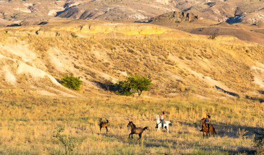 Viviane and Helene riding together near the Horse Ranch