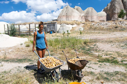 Viviane being proud about the potatoe harvest