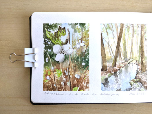 Aquarellstudien "Vorfrühling im Schlosspark München": Links Knallerbsen, rechts der kleine Flusslauf mit Bäumen