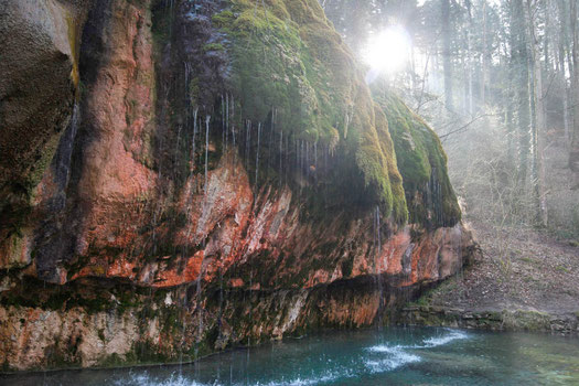 Kalktuffquelle im Mullerthal im Morgenlicht, Luxemburg, wandern
