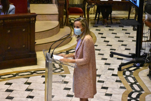 Paula Llobet, concejal del PP de Valencia