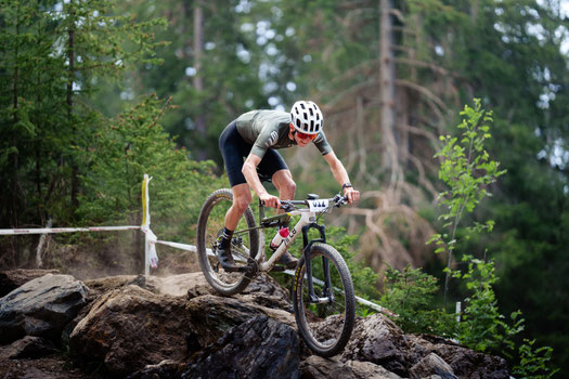 Bild von Piper Albrecht