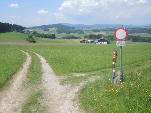 Herrliche Aussicht ins Mühlviertler Kernland!