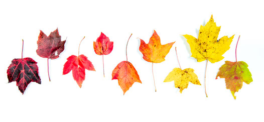 In business, variations of a protected trademark are common.