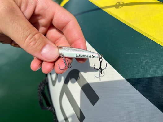 Mehrfachhaken mit Widerhaken (Bild: KAPO)