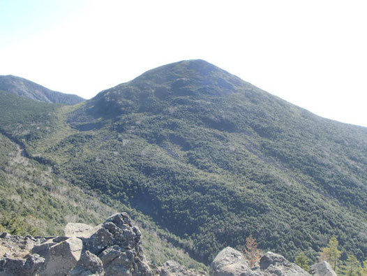 ライチョウ　登山　ガイド