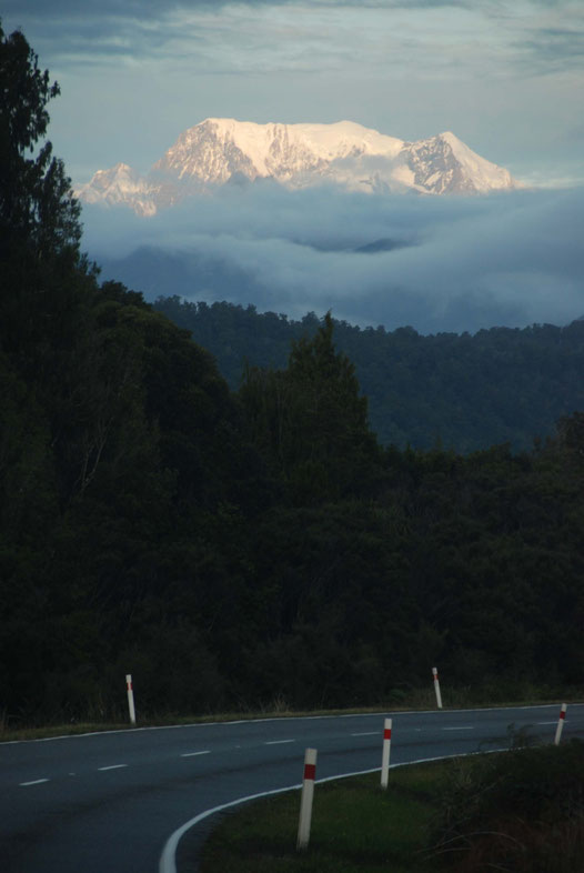 As dusk fell, the snow covered peak of Aoraki/Mt Cook appeared like a beacon, driving us on through the close packed forest (from the Haast-Fox Glacier road).