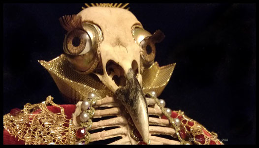 Corpus Corvus  Assemblage Ellen Eva Brouwers, gebaseerd op de Catacombenheiligen. Onderdeel van De Gulden Knekelgalerij  Ellen Brouwers