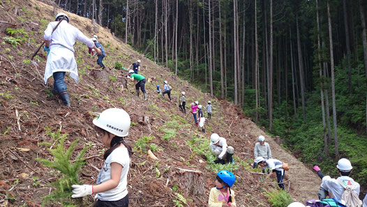 埼玉県さいたま市植林活動参加工務店