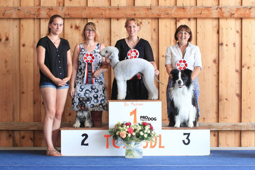 ©ProDog, Sido at senior handling